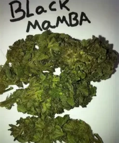 black mamba strain