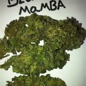 black mamba strain