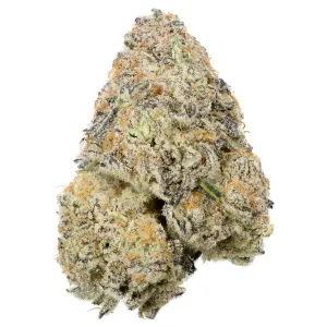 Apple Fritter Strain
