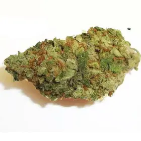 Buy Blueberry Kush Online