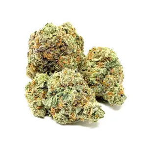 Buy Girl Scout Cookies Strain