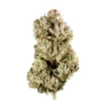 Gorilla Glue for sale Image