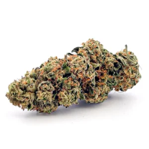 Looking to Buy Forbidden Fruit Strain? Discover the best deals on Forbidden Fruit Strain cannabis right here. Read our Forbidden Fruit Strain effects and review, explore the unique Cherry Pie x Tangie genetics details, and Order Forbidden Fruit Strain online for premium quality and fast delivery.
