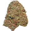 Looking to Buy Maui Wowie Strain? Discover the best deals on Maui Wowie Strain cannabis right here. Read our Maui Wowie strain effects and review, explore the Maui Wowie sativa profile and flavor, and Order Maui Wowie Strain online for a premium tropical experience.