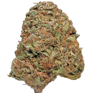 Looking to Buy Maui Wowie Strain? Discover the best deals on Maui Wowie Strain cannabis right here. Read our Maui Wowie strain effects and review, explore the Maui Wowie sativa profile and flavor, and Order Maui Wowie Strain online for a premium tropical experience.