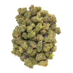 White Truffle Strain