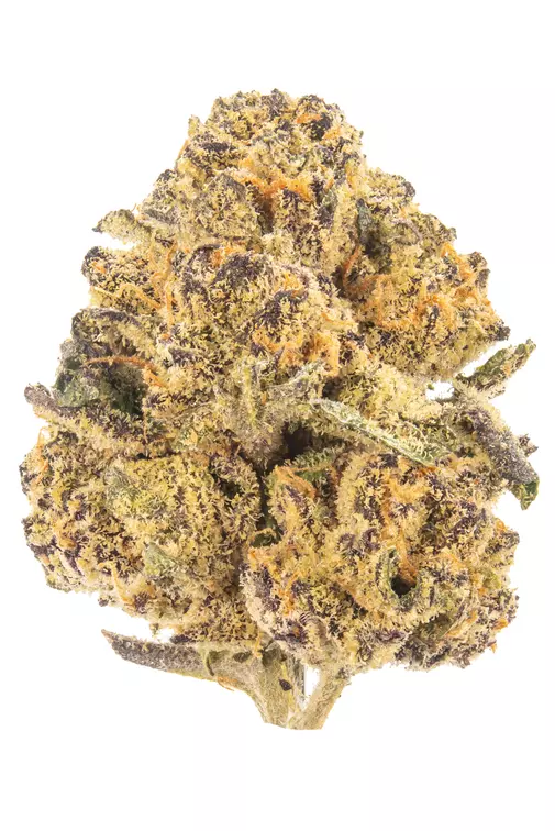 Banana Cream Jealousy Strain