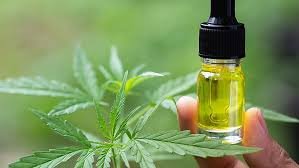CBD Oils