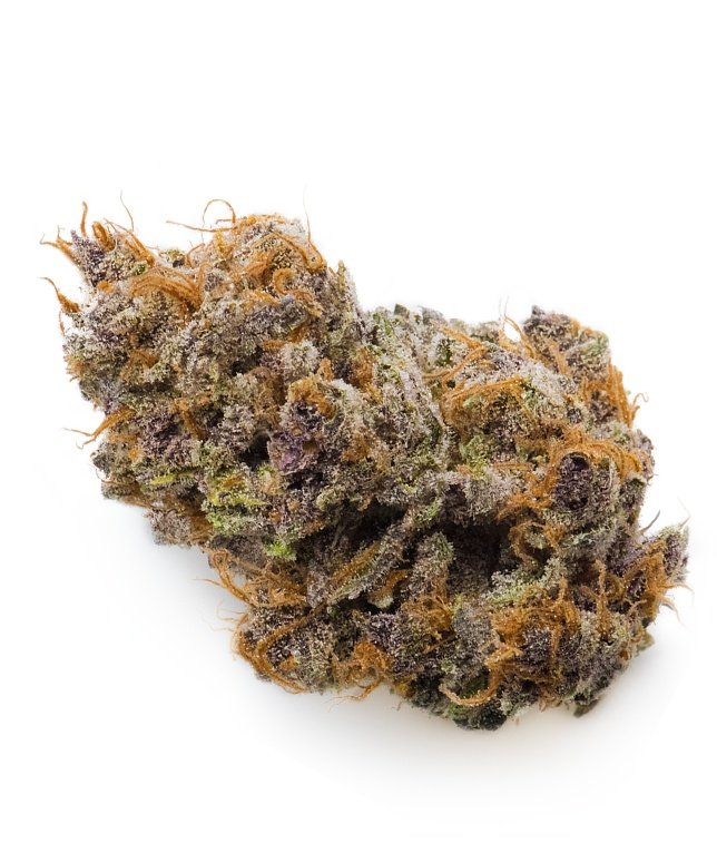 Looking to Buy Cherry Bomb Strain? Experience the sweet, explosive flavor and uplifting effects of this premium hybrid. Buy Cherry Bomb Strain online today!