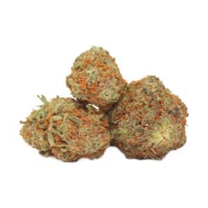 Looking to Buy Gushers Strain online? Discover the best place to buy Gushers Strain online for high quality Gushers Strain for sale. Get affordable Gushers Strain online with shipping today!
