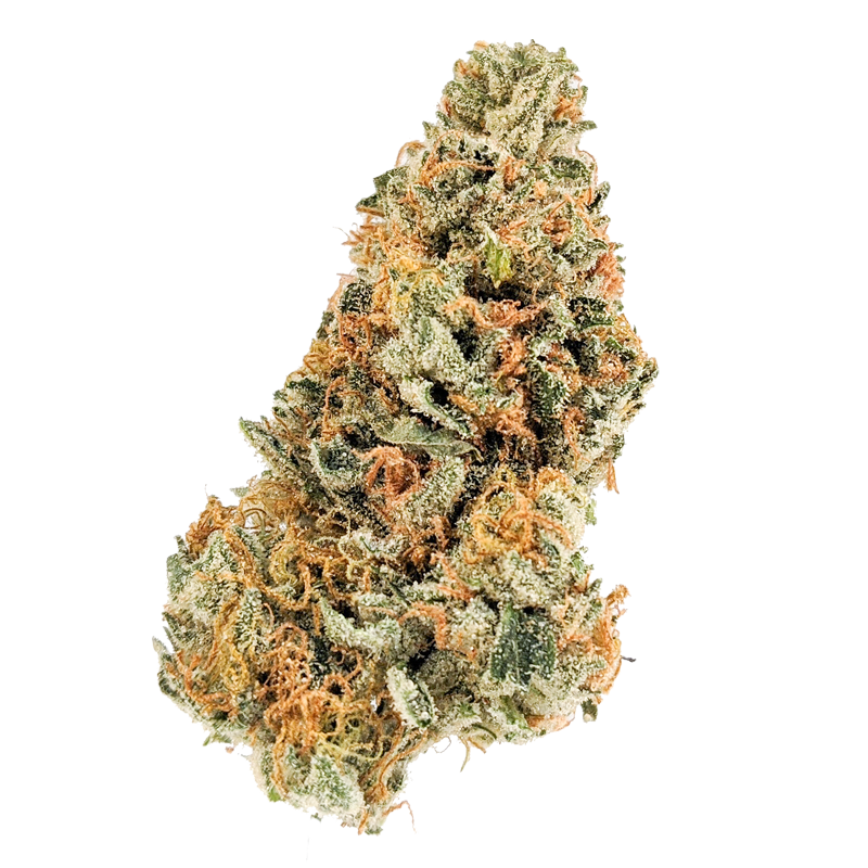 Peach Crescendo Strain