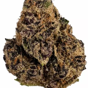 Looking to Buy Tropicanna Strain? Explore our Tropicanna cannabis strain online store for high quality Tropicanna Strain for sale. Get affordable Tropicanna Strain online with shipping today!