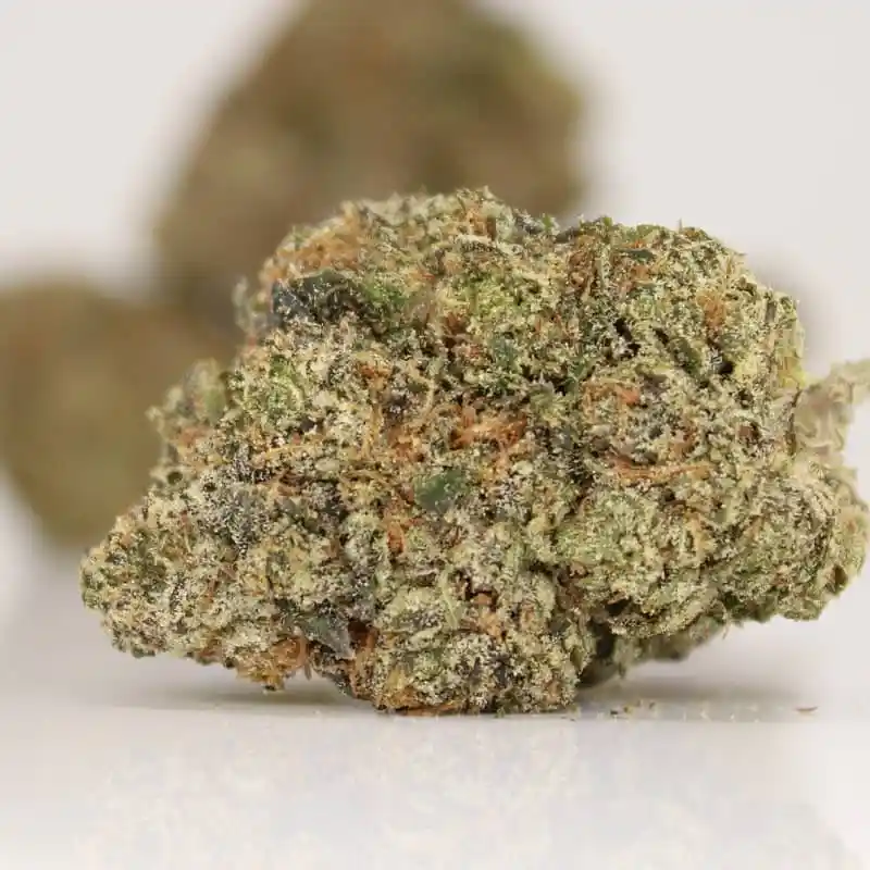 Looking to Buy White Walker Strain? Our White Walker cannabis strain online store offers high quality White Walker Strain for sale. Get affordable White Walker Strain online with shipping today!