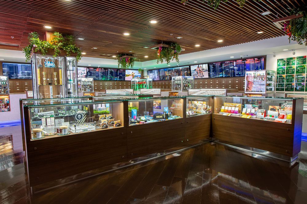 Looking for the fastest delivery dispensaries near me? Our 2026 guide covers everything from same day weed delivery near me to finding a medical marijuana delivery near me. Discover how to choose the best cannabis delivery near me and get your favorites brought right to your door safely and legally.