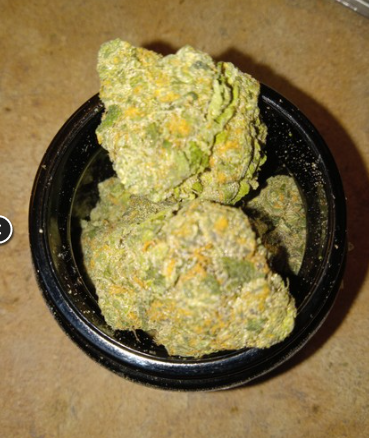 rainbow sherbet rs11