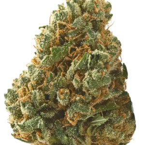 Super boof weed strain